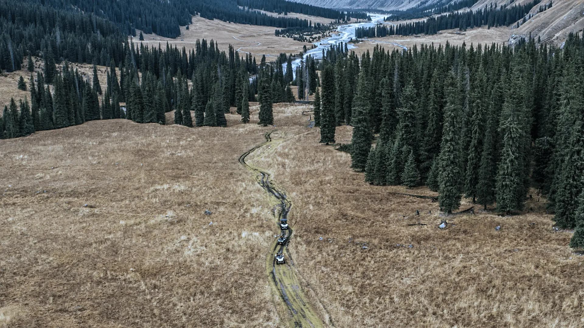 Верхний баннер